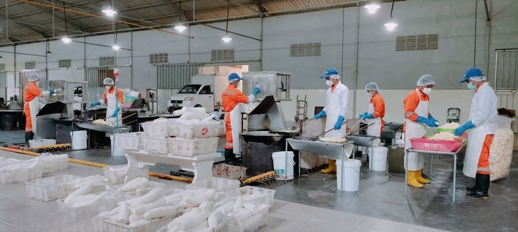 Fasilitas Produksi Planet Kriuk